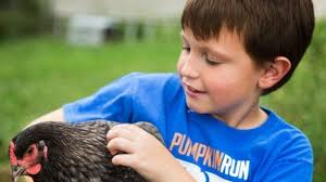 Bakersfield City Council