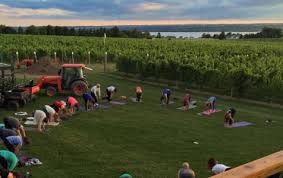 Our irvine studio is the flagship boutique location and the home of many of yoga shakti's specialty classes including our tuesday night shakti yoga classes and vegetarian potlucks. Yoga And Body Work Live Your Bliss