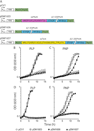 Cplex> read location.lp problem location.lp' read. An Unexpected Role For The Periplasmic Phosphatase Phon In The Salvage Of B6 Vitamers In Salmonella Enterica Applied And Environmental Microbiology