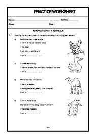 Worksheet Of Adaptations In Animals Animals And Their Habitats Animals Science In 2020 Animal Habitats Science Worksheets Animal Science