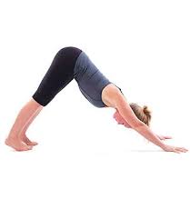 Downward Dog Pose Will Help In Spinal Traction And Lower Back Health Downward Facing Dog Downward Dog Pose Basic Yoga
