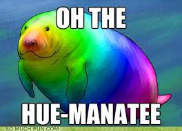 Image result for puns