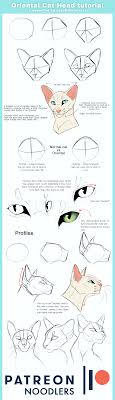 Oriental Cat Head Tutorial By Climbtothestars Cat Drawing Tutorial Drawing Tutorial Animal Drawings