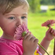 14X40 Tiny Home! Now available. $17,980 Cash Price This shed features:  -5-Year workmanship warranty -6 windows (2x3ft) -Electrical Package (Basic)  -32 inch 9-Lite house door -Double French Doors -Full Length Ridge Vent (