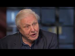 Sir David Attenborough On Nature Films Youtube