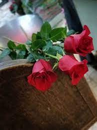 Crea Un Mazzo Di Rose Rosse Fioreria Floriana Vendita Fiori A Bologna