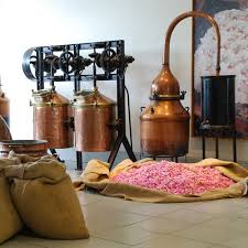 Fragonard Grasse Fabrique Des Fleurs Perfumery Perfume Making Perfume