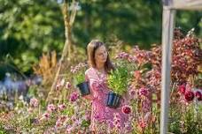 RHS Rosemoor Garden Festival