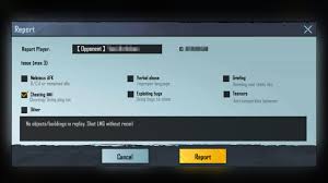 Getting a menu after a kill. How To Report Cheaters In Pubg Mobile Anti Cheat Guide