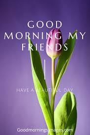 Good Morning Images Free Download For Whatsapp Hd Download Happy Good Morning Images Good Morning Images Good Morning Friends Images Check these hd good morning images and choose the best one! good morning images free download for