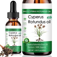 Image result for Cyperus rotundus