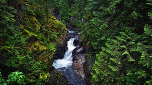 United states washington north bend. Twin Falls Hike Review Conde Nast Traveler