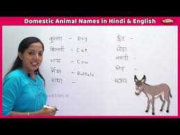 100+ complete list of animals name in hindi and english with pictures charts. Domestic Animal Names In Hindi And English Learn English In Hindi Farm Animals For Kids Youtuberandom