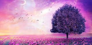 Desktop wallpaper 4k wallpaper 1920x1080 16k wallpaper background galaxy wallpaper black cool wallpaper space city 4k wallpaper 3480x2160 cars japan Purple Wallpapers 4k Hd Purple Backgrounds On Windows Pc Download Free 1 0 1 Com Hd Wallpapers Purple
