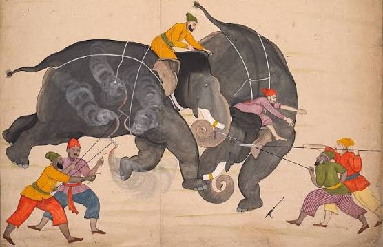 File:Nainsukh - Two Elephants Fighting in a Courtyard Before Muhammad Shah - 2005.1 - Cleveland Museum of Art (cropped).jpg - Wikimedia Commons