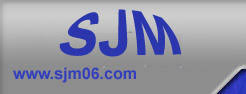 Serbian Journal Of Management