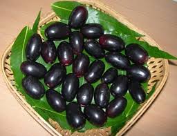 It is seasonal and nutritious fruit with unique shape and color available throughout asia in abundance. Jamun Fruit Naaval Pazham Kamala S Corner