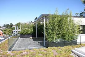 Ich dachte an eine trauerweide, aber ihr beitrag: Dachterrasse Richtig Bepflanzen Egli Garten