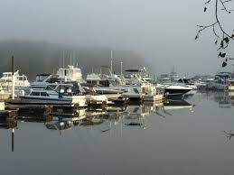 Image result for Red Marina 1992 UMM