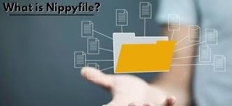 NippyFile 