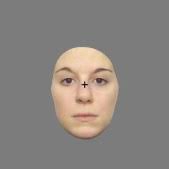 A face identity hallucination (palinopsia) generated by intracerebral  stimulation of the face-selective right lateral fusiform cortex