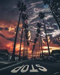100 Imagens Tumblr De Fundo De Tela Frases Acesse imagens e templates gratuitos e uma plataforma de design super facil de usar. imagens tumblr de fundo de tela frases