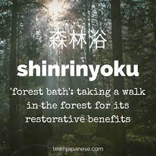 In japan, people take this seasonal phenomenon to a whole new level, taking the time to look at and appreciate the changing leaves in the same way they hold cherry blossom viewing parties (hanami) in the spring. 12 Beautiful And Untranslatable Japanese Words Team Japanese