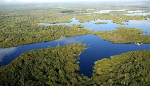 images?q=tbn:ANd9GcQ3RJJYahuGnxWOPDFuGUy4Tdyv5uDgcGkCkg&s