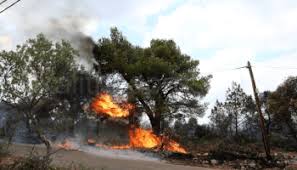 Στα χέρια των αρχών έπεσε το απόγευμα της δευτέρας ο δράστης της στυγερής δολοφονίας της 55χρονης στη θεσσαλονίκη. Bwzt2pabxw3amm