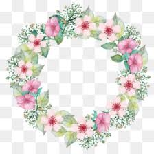 Png flower crown watercolor clipart lotus pink. Circle Flower Png Circle Flower Frame Circle Flower Borders Cleanpng Kisspng