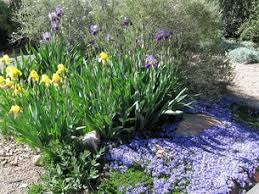 Approximately, 4,600 acres have been reserved for neighborhood parks, playgrounds and. Pueblo West Xeriscape Demonstration Garden Pueblo West Plant Select