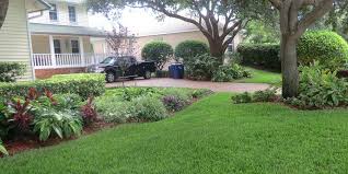 Knows better than anyone what it takes to get rid of pests. Progreen Pest Control In Pinellas County Contact Information And Service Areas
