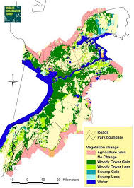 Image result for Rubus kirungensis