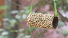 Comment Faire Une Mangeoire Pour Oiseaux Avec Un Rouleau De Papier Toilette Recette Nourriture Oiseaux Nourrir Oiseaux Mangeoire Oiseau