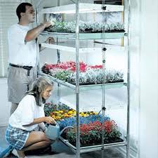 They can provide any color spectrum required for every stage of growth and are easy to set up. All Grow Lights Plant Stands For Indoor Plants