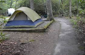 This is an information and administrative office located in asheville, nc and is not actually in the forest. Camping In State Parks In North Carolina Carolina Outdoors Guide