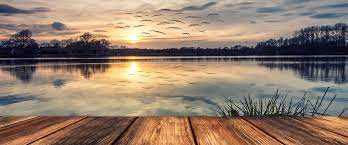 Die unterkunft apartment haus am see kann ich mit gutem gewissen empfehlen und würde dort auch selber wieder urlaub machen. Urlaub Am See Top 10 Ferienhauser Direkt Am See 2021