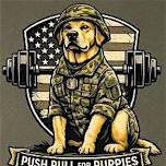 Push Pull for Puppies 2026