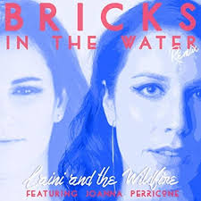 Bricks in the Water (Remix) [feat. Joanna Perricone] by Laini and the  Wildfire