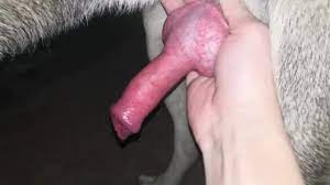 Dog cumming ❤️ Best adult photos at hentainudes.com