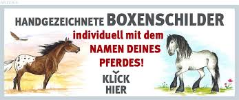 Mit flexionstabellen der verschiedenen fälle und zeiten aussprache und relevante diskussionen kostenloser vokabeltrainer. Mannliche Pferdenamen Mit R Pferde World