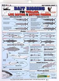 Tightline Fishermans Bait Rigging Chart For Trolling Live Bait Bottom Fishing
