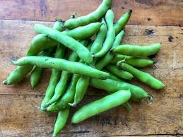 Image result for fava