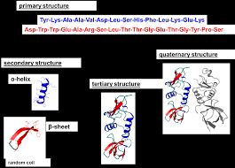 Nanotechnology Enabled Drug Delivery Of Proteins And Peptides To The