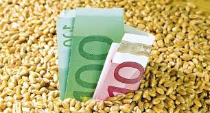 Lista completă cu schemele și cuantumurile la plată pe hectar. Apia A Inceput Platile Cat Puteti Incasa La Hectar Stiriagricole Ro