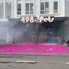 498 Pets Sri Aman