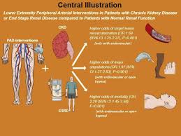 The kidneys are responsible for filtering waste products out of the blood to form urine. Systematic Review And Meta Analysis Of Outcomes Of Lower Extremity Peripheral Arterial Interventions In Patients With And Without Chronic Kidney Disease Or End Stage Renal Disease Journal Of Vascular Surgery