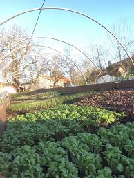 Maraichers Puy De Dome 63 Legumes En Vente Directe Producteur