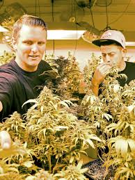 How to fund cops? Town considers marijuana tax