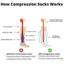 Top Armor Graduated Compression Socks 20 30mmhg 6pairsmx Top Armor Official Store
